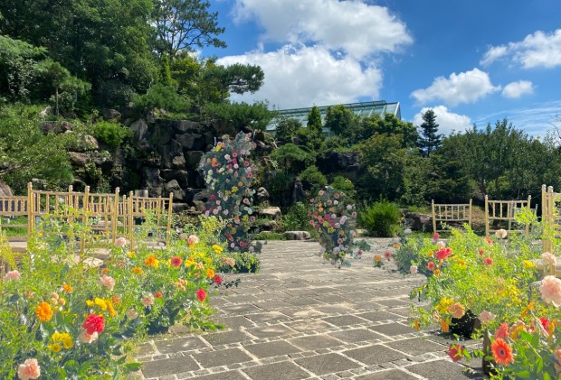 강서구 구로구 관악구 금천구 강북구 강동구 광진구 강남구 노원구 도봉구 동대문구 동작구 마포구 성북구 서대문…