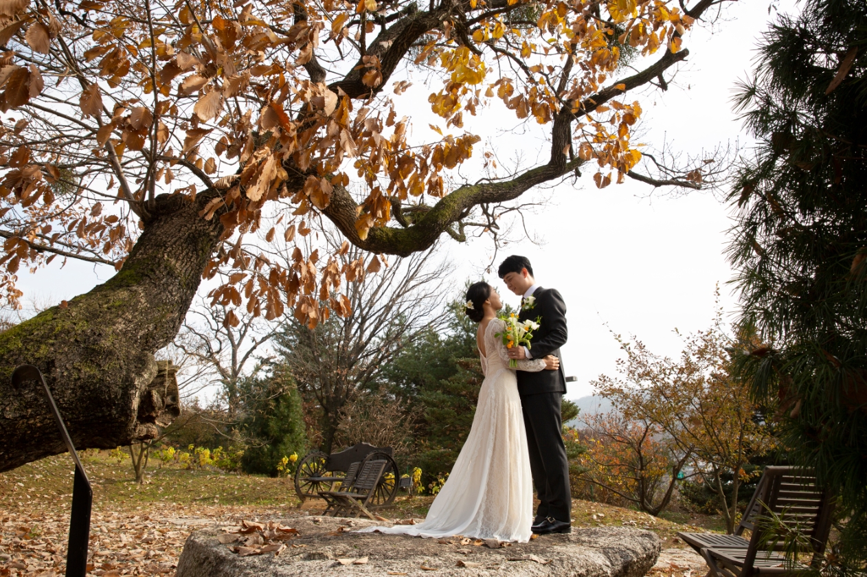 /user/s/simplewedding/editor/2211/5069e7102dea9e317a0307d707fb1dda_1668773862_6342.jpg 이미지크게보기